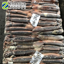 New arriaval 2020 Seafrozen Illex squid whole round for market selling export thailand
